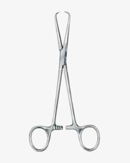 Barnhard Towel Forceps BJ