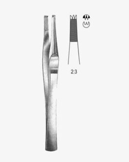 Lanes Tissue Fcps 2x3T