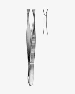 Littauer Cilia Fcps