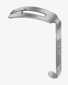 Modell Wurzburg Tongue Depressors