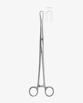 Rotunda Forcep