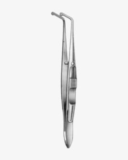 Worth Muscle Forceps